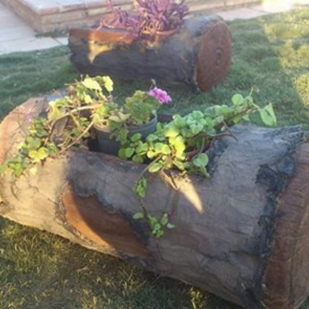 tronco macetero decorativo recreación madera tronco macetero decorativo recreación madera