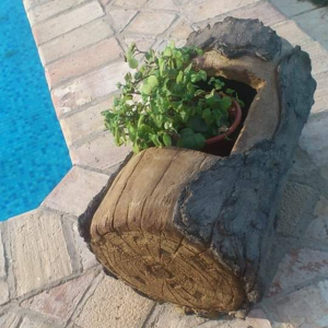 tronco macetero decorativo recreación madera