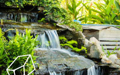 Tematizamos cualquier estancia